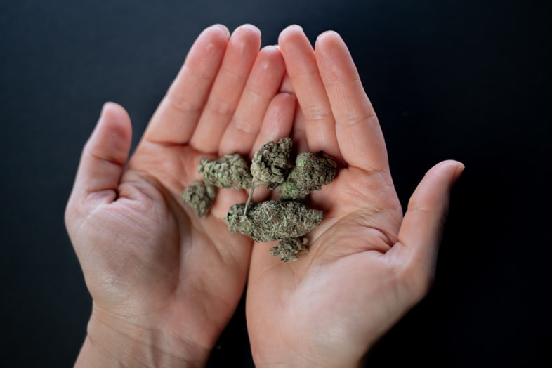 Qu'est-ce que le cannabis léger ?