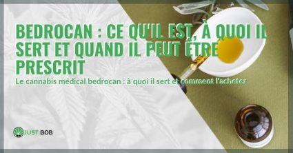 Qu'est-ce que le Bedrocan, à quoi sert-il ?