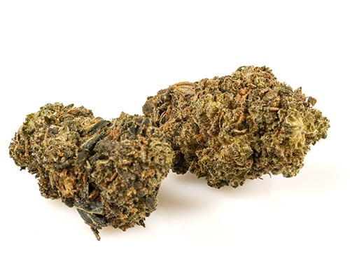 amnesia-cbd-boost-small-fleurs-cbd