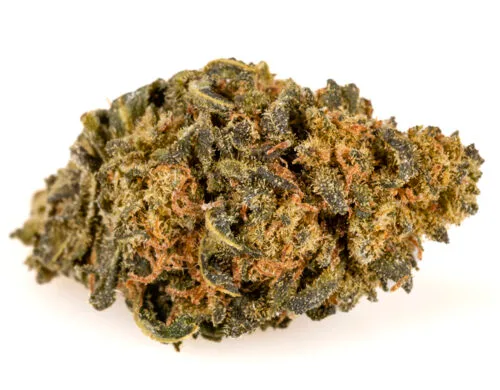 cannabis cbd amnesia cbd boost