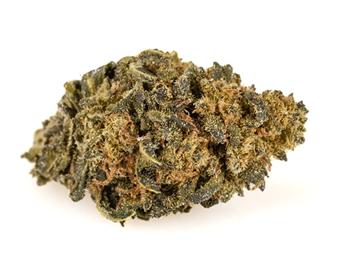 cannabis-cbd-amnesia-cbd-boost