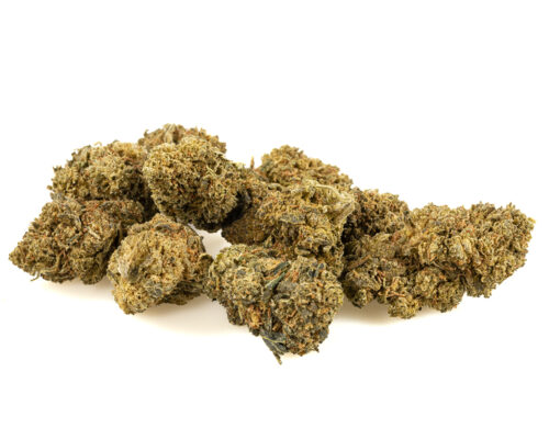 fleurs cbd boost de amnesia