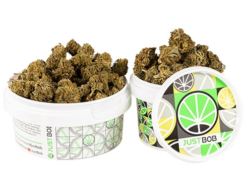 pot-amnesia-cbd-boost-cannabis-cbd