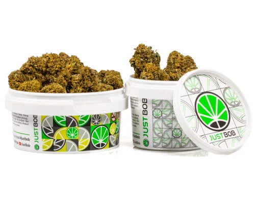 pot de cannabis cbd avec amnesia cbd boost