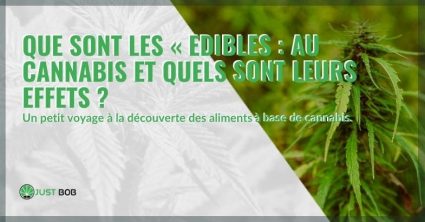 Les edibles au cannabis : ce qu'ils sont et leurs effets