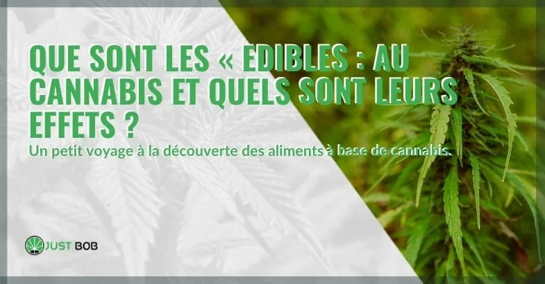 les-edibles-au-cannabis-ce-quils-sont Les edibles au cannabis : ce qu'ils sont et leurs effets