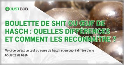 Boulette de shit ou œuf de hasch
