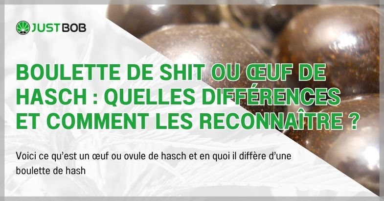 Boulette de shit ou œuf de hasch