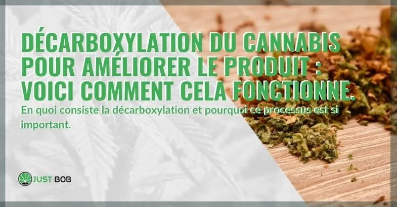 importance-de-la-décarboxylation-du-cannabis L'importance de la décarboxylation du cannabis