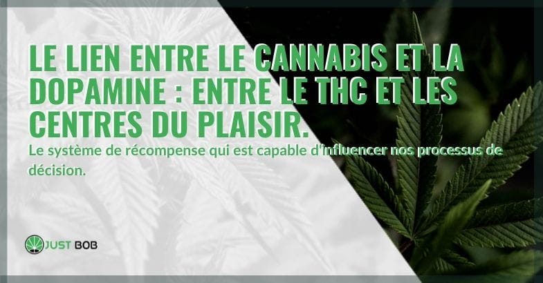 Le lien entre la dopamine et le cannabis