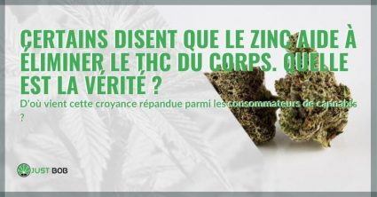 Le zinc aide-t-il à éliminer le THC de l'organisme ?