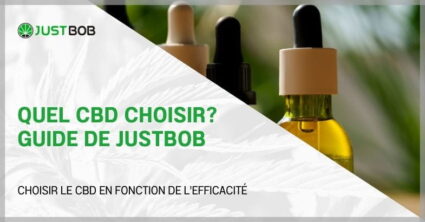 Quel CBD choisir? Guide de Justbob