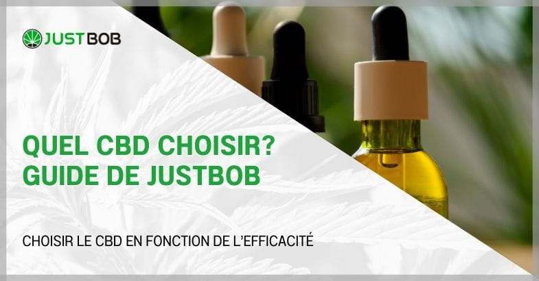 Quel CBD choisir? Guide de Justbob