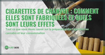 Comment les cigarettes de chanvre sont fabriquées et leurs effets