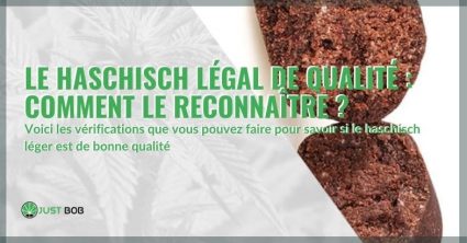 Comment reconnaître un haschisch légal de qualité