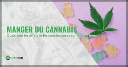 Les effets et les conséquences de la consommation de cannabis