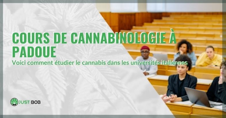 Étudier le cannabis avec le cours de cannabinologie à Padoue