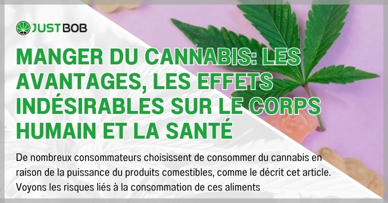 Manger du cannabis: les avantages, les effets indésirables sur le corps humain