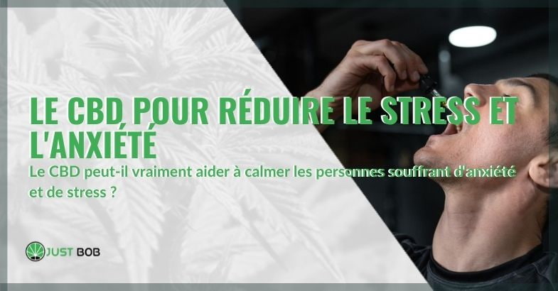 Réduire l'anxiété et le stress grâce au CBD