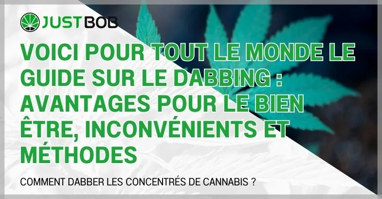 guide-sur-le-dabbing Voici pour tout le monde le guide sur le dabbing