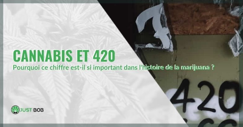 L'importance du chiffre 420 dans l'histoire de la marijuana
