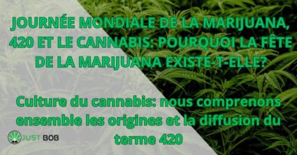 JOURNÉE MONDIALE DE LA MARIJUANA, 420 ET LE CANNABIS