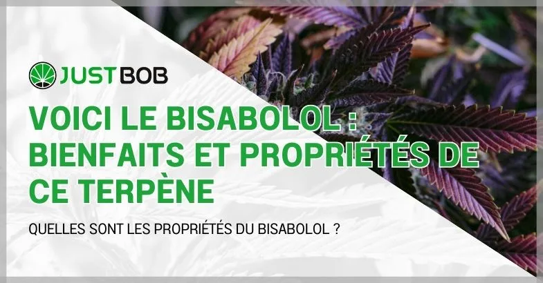 le-bisabolol bisabolol : bienfaits et propriétés