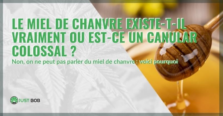 Le miel de chanvre existe-t-il vraiment ?