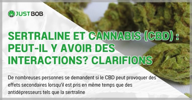 Sertraline et cannabis (CBD) : peut-il y avoir des interactions?