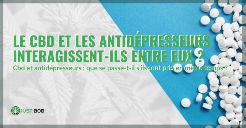 L'interaction du CBD avec les antidépresseurs