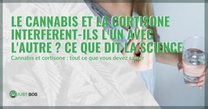 L'interaction entre le cannabis et la cortisone