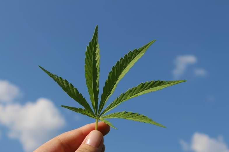 fumer des graines de cannabis et effets secondaires
