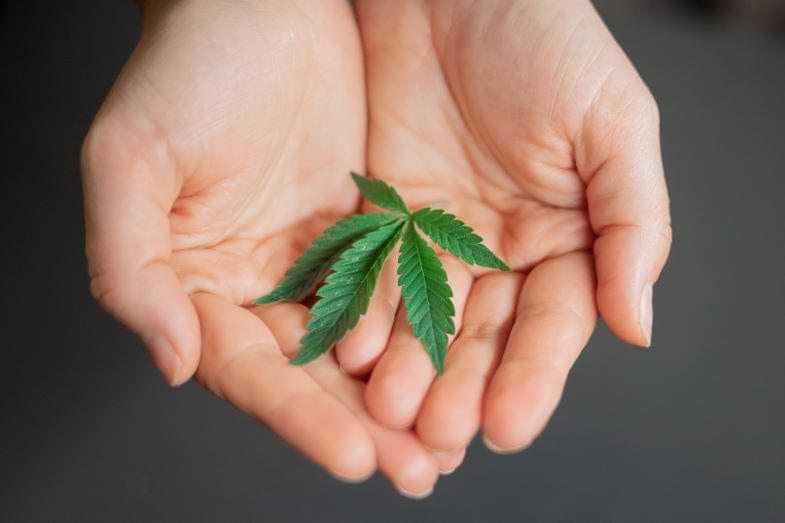 le cannabis pour usage personnel en Allemagne