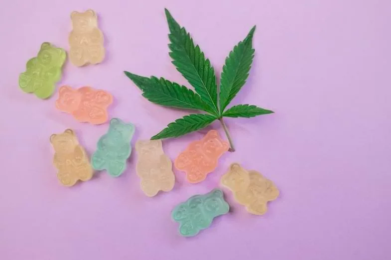 Vue technique du pollen de cannabis utilisé dans la production industrielle illustrant le contexte agronomique de la matière première du chanvre