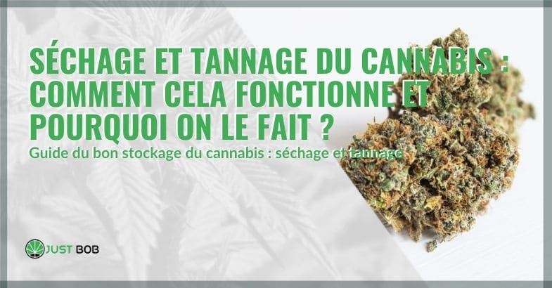 Comment fonctionne le séchage et le bronzage du cannabis