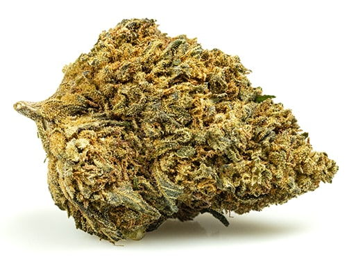GELATO CBD BOOST-fleurs-cbd