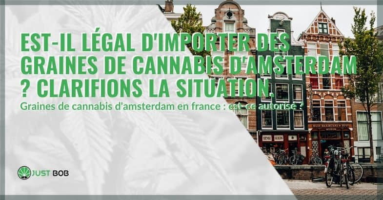 L'importation de graines de cannabis d'Amsterdam est-elle légale ?