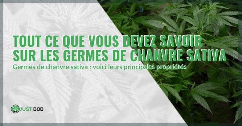 Les propriétés des germes de chanvre sativa