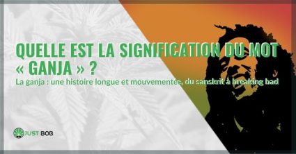 Quelle est la signification de la ganja ?