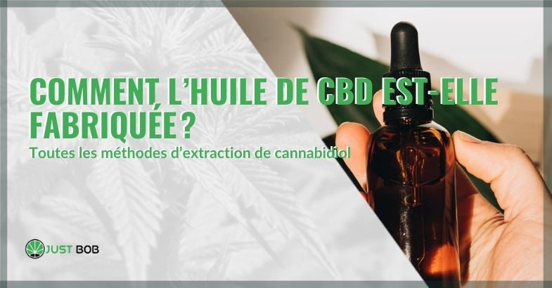 L'huile de CBD, comment est-elle produite ? | Justbob