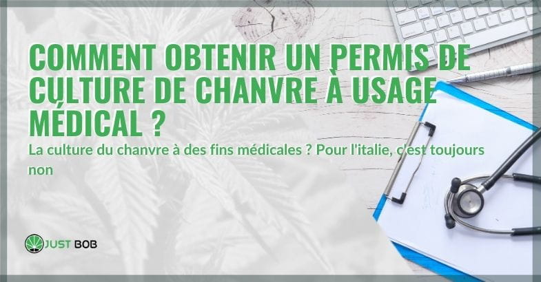 Comment cultiver du cannabis à usage médical et obtenir un permis | Justbob