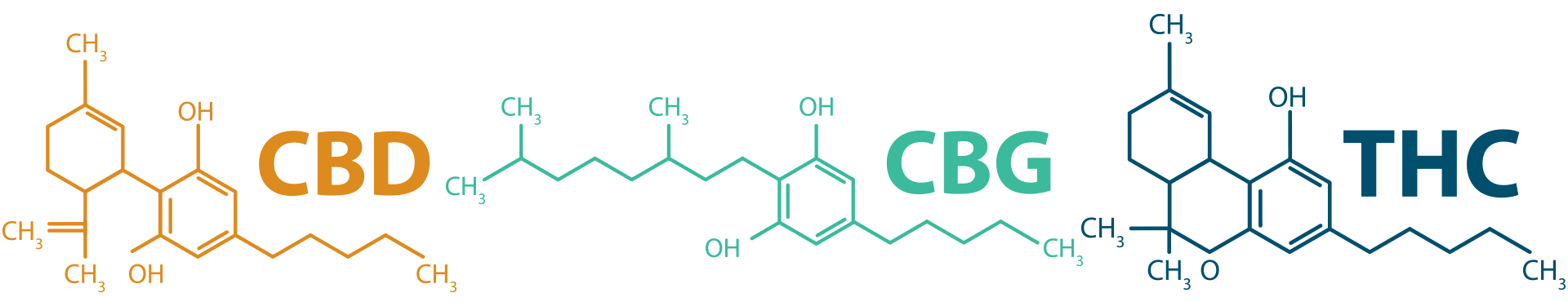 molécules-cbd-thc-cbg