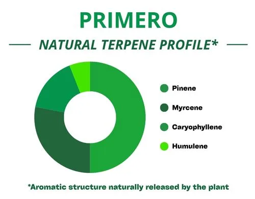 Diagramme circulaire du profil terpénique de la variété Primero