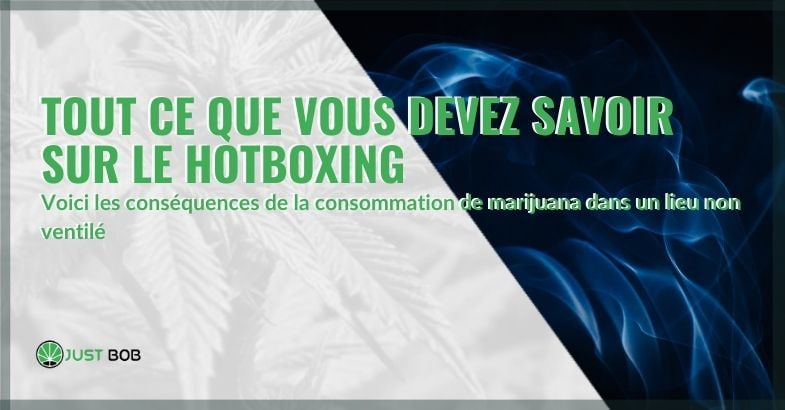 Tout sur le hotboxing | Justbob