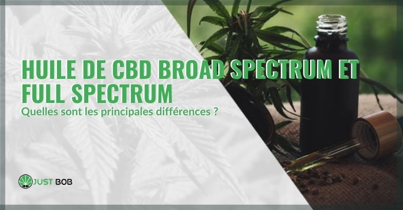 Les différences entre les huiles CBD à large spectre et à spectre complet | Justbob