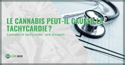 Le cannabis peut provoquer une tachycardie | Justbob