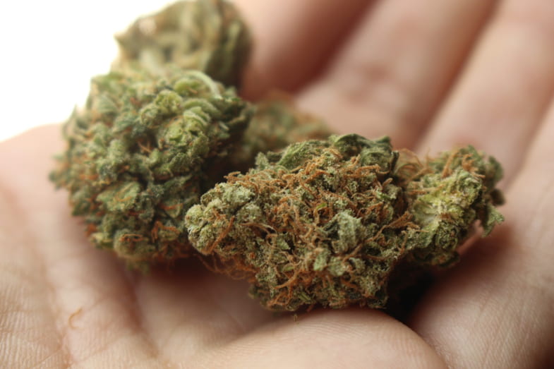 La loi maltaise sur l'usage du cannabis | Justbob