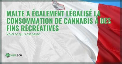 Malte légalise le cannabis à usage récréatif | Justbob