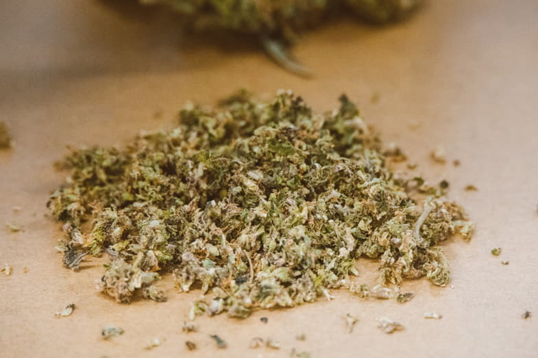 Déchets de cannabis après rognage | Justbob