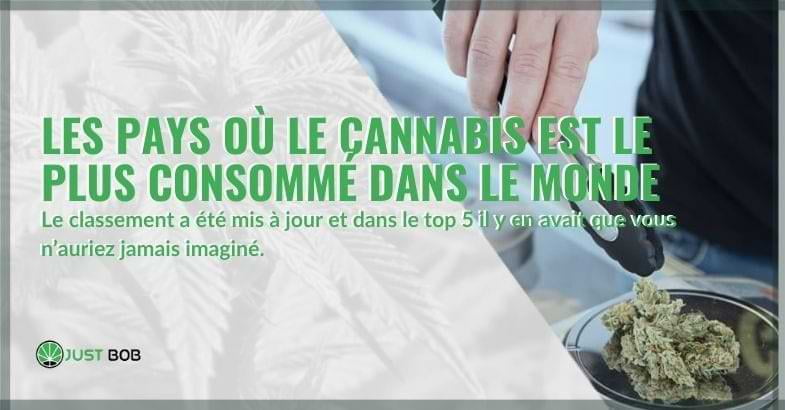 Dans le monde, les nations où l'on consomme le plus de cannabis | Justbob